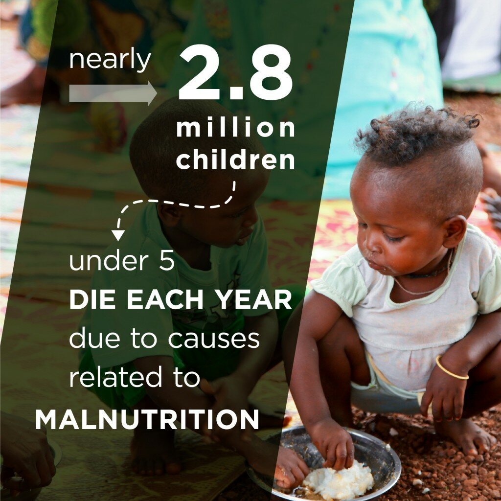 world food day