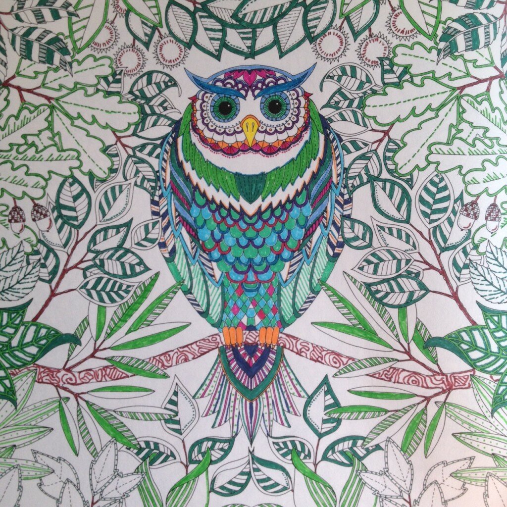 My fancy owl from Johanna Basford's Secret Garden