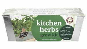 herbs