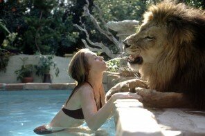 tippi-hendren-with-lion